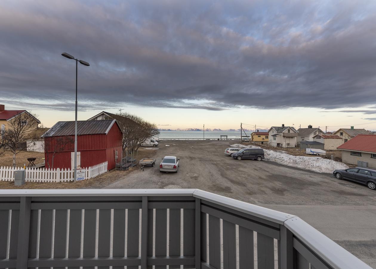Tore Hunds * Andenes